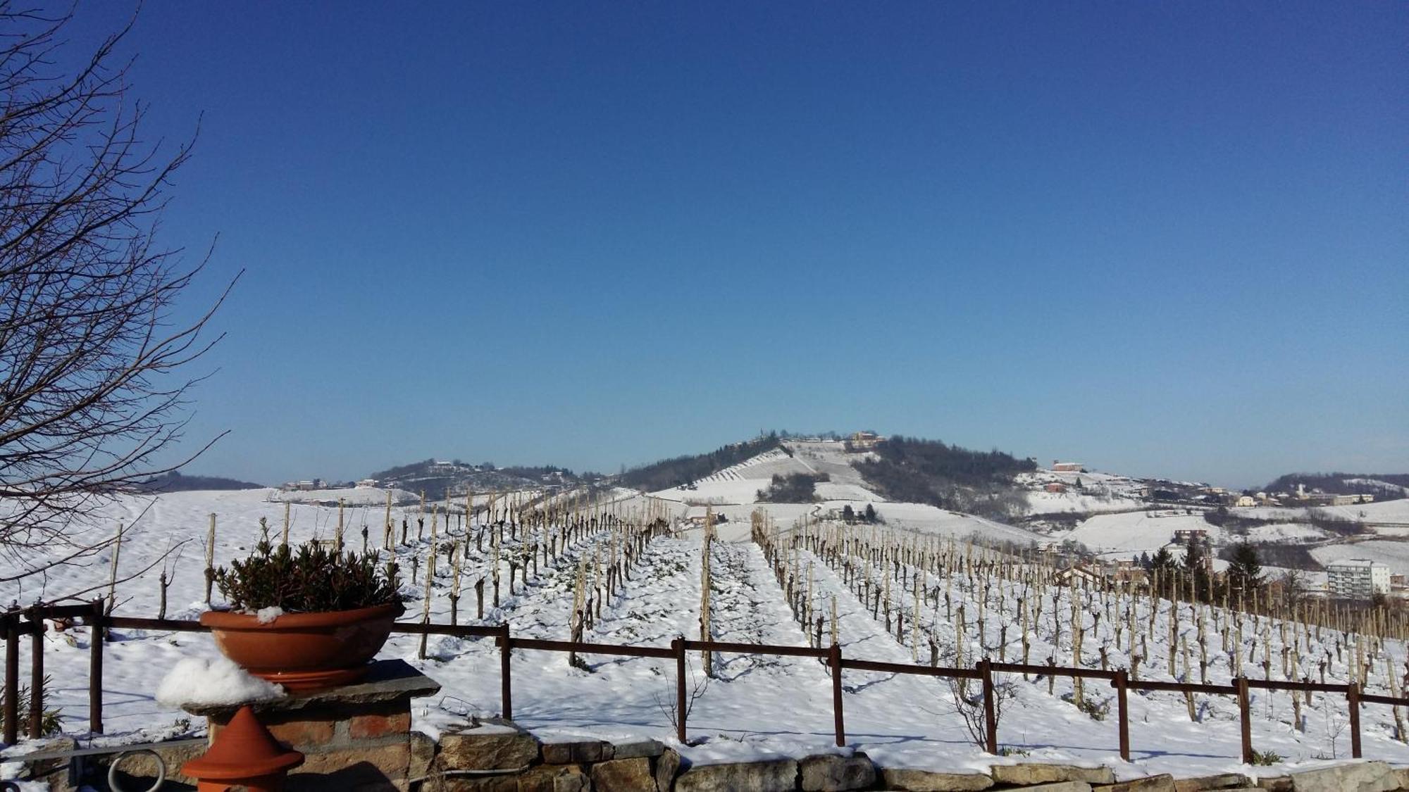 Agriturismo Bastian Villa Fontanile Esterno foto