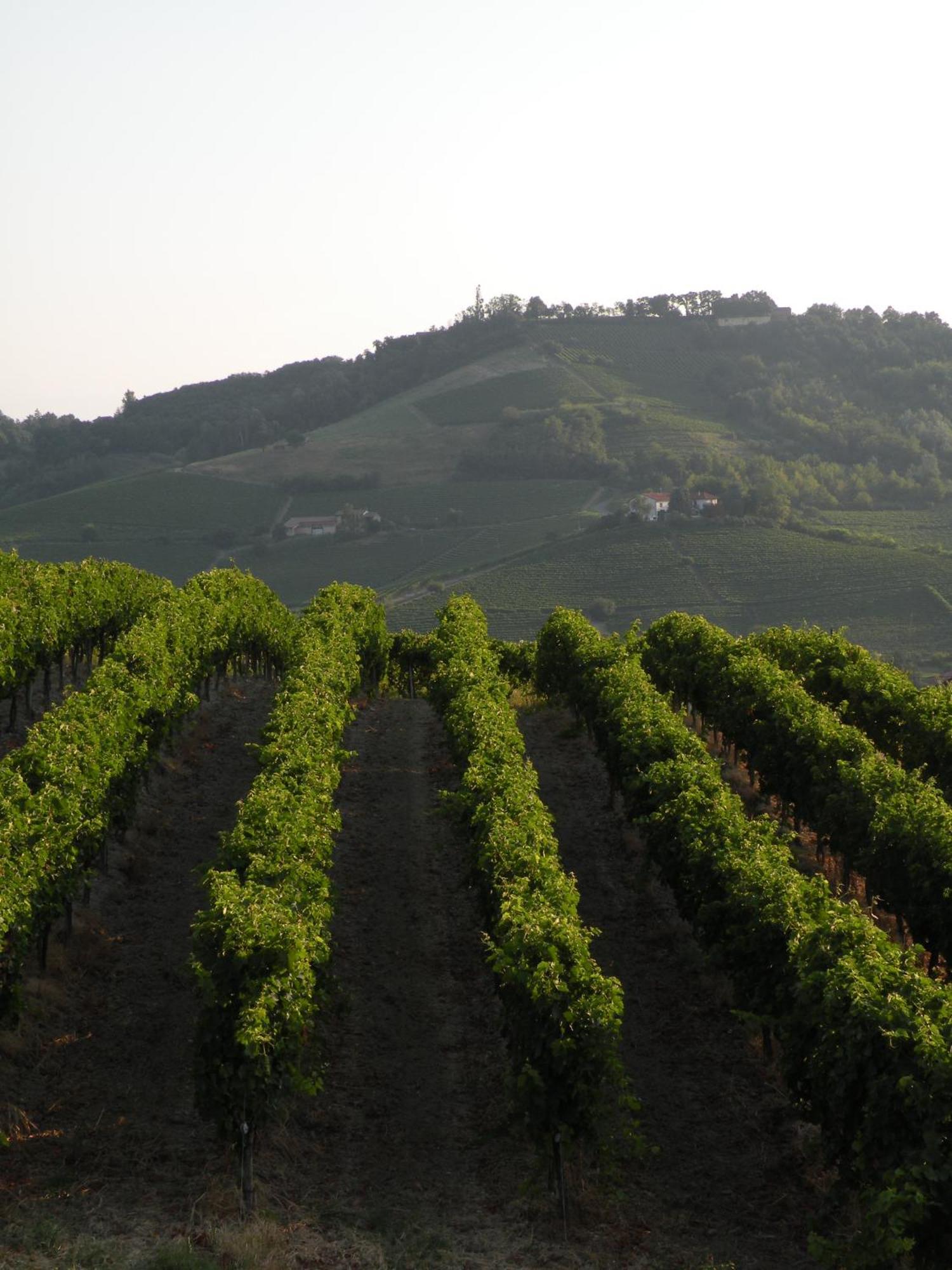 Agriturismo Bastian Villa Fontanile Esterno foto