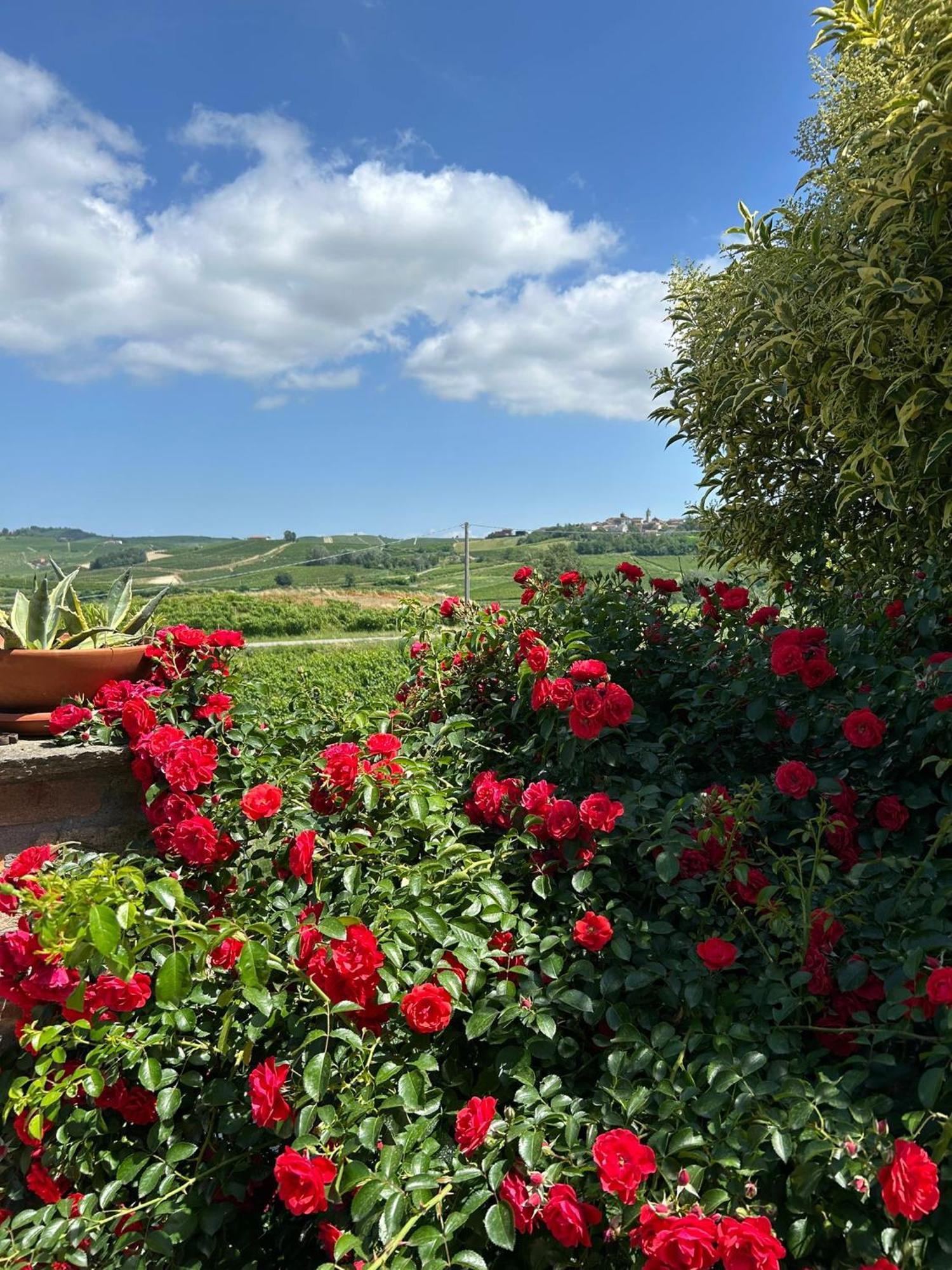 Agriturismo Bastian Villa Fontanile Esterno foto